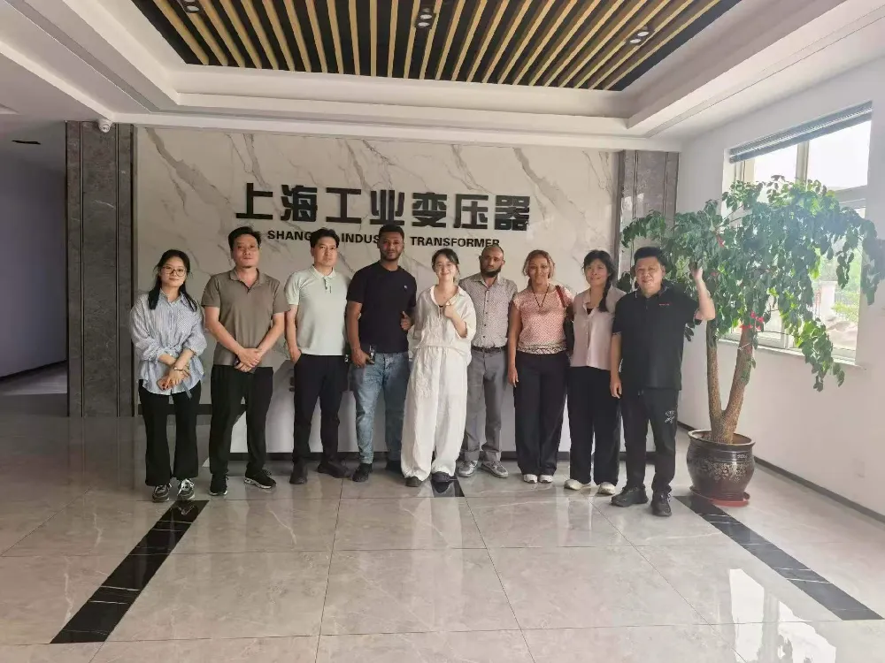 Hjertelig velkommen! Etiopisk delegation besøger Shanghai Industrial Transformer Co., Ltd. for udveksling af transformere og strømdistributionsudstyr