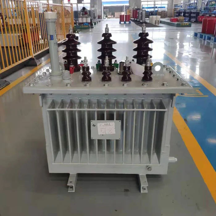 50kva olienedsænket transformer